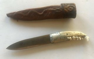 Vintage Animal Jaw Handmade Custom Fixed Blade Knife With Leather Case