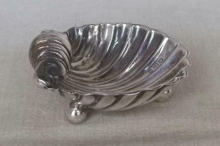A Fine Antique Solid Sterling Silver Victorian Shell Salt Bowl Chester 1895.