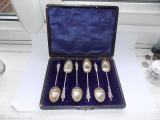 Cased Set Of Birm 1905 H/m Silver Apostle Tea Spoons With Shell Bowls 36.  1 Gm