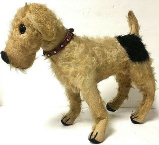 Vintage 15 " Push Along English Mohair Terrier Dog By Chiltern