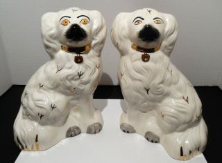 Vintage Beswick Pottery - 8 " Staffordshire - Like Spaniel Mantel Dogs - 1378