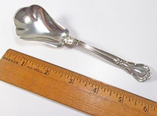 Antique 1895 Gorham Chantilly Pattern Sterling Silver Shell Sugar Serving Spoon
