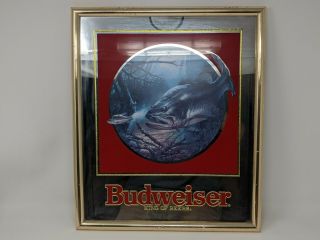 Vtg 1992 Budweiser King Of Beers Fish Mirror Beer Signs “14x16”