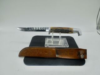 Vintage Rare 9.  5 " Queen Steel Cutlery Fixed Blade Skinning Hunting Knife Preowne