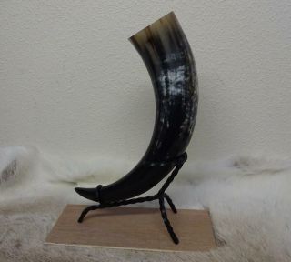 Large Size Viking Drinking Horn & Iron Stand Camping Re - Enactment Stage Larp B4