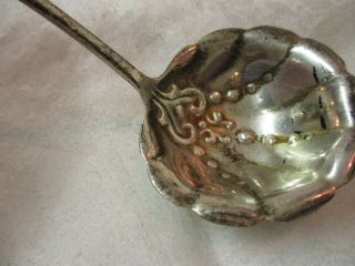 Antique 1885 Gorham Whiting Sterling Silver Cream Ladle Lily of the Valley 3