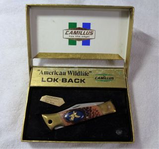 Camillus " American Wildlife " Howling Coyote Lok - Back 11 Hunting Knife