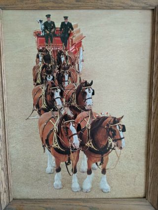 Budweiser Beer Clydesdale Advertising Wooden Framed Wall Picture 26 3/4 