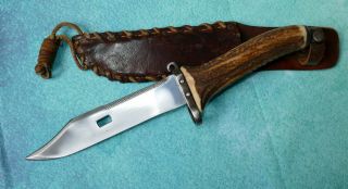 Custom Hand Made Antler Sawback Hunting Knife Large 11 " Buck Stag Horn Clip Pt.