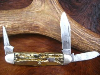 Vintage Winchester 3 Blade Butter & Molasses Cattle Knife,  Made In Usa.  3 5/8 "