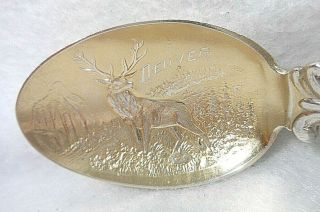 Sterling Silver Souvenir Spoon Denver,  Co Elk In Bowl,  Ca.  1900
