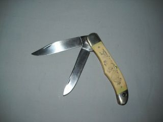 Schrade Usa Scrimshaw Folding Hunter Knife Bear 2 - Blade Sc508