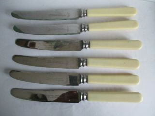 Set Of 6 X " Faux Bone Handle Table Knives " Trustwell Brothers,  Sheffield.