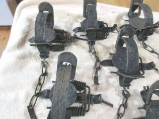 12 NO 1 1/2 Victor Double Coil Spring Traps 2