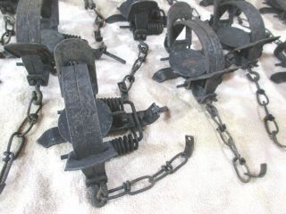 12 NO 1 1/2 Victor Double Coil Spring Traps 3