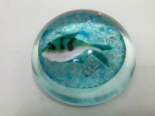 Vintage Oggetti Murano Art Glass Fish Paperweight,  2 1/4 " High,  3 7/8 " Widest