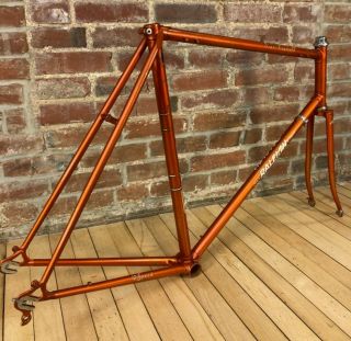 Vintage Raleigh Course Frameset Reynolds 531 Lugged Steel Road/Fixed Gear 2