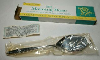 Nos Pastry Pie Server Vtg 1960 Oneida Community Silverplate Morning Rose