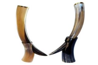 Vikings Game Of Thrones Large Viking Drinking Horn With Stand Authentic & Food