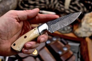 Cfk Ipak Handmade Hammered Damascus Custom Camel Bone Small Hunter Skinner Knife