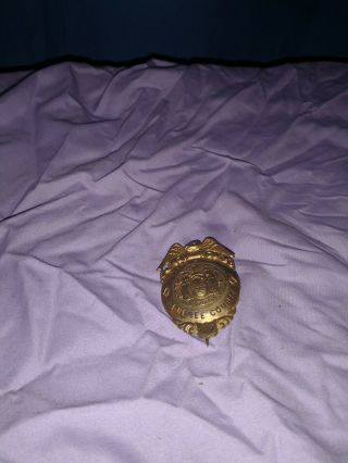 Vintage Rare Special Deputy Sheriff Genesee County Ny Coat Badge