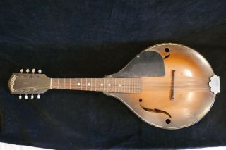Vintage Strad O Lin 8 String Mandolin W/ Case