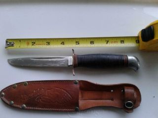 Vintage J.  A.  Hellberg Hunting Knife Eskilstuna Sweden 8 - 3/4 " L 41/2 " Blade