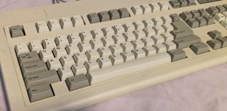 Vintage Chicony KB - 5181 CLICKY Keyboard BLUE E8H5IKKB 2