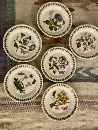 Vintage Portmeirion Botanic Garden Plates,  Set Of 6 8.  25 Daisy Primrose England