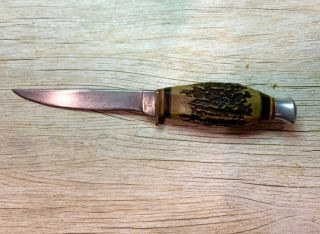 Vintage G.  C.  Solingen Germany Fixed Blade Knife Stag Handle 489
