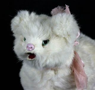 French mechanical toy doll white cat Wind - up Clockwork Roullet et Decamps 4