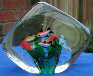 Vintage Murano Art Glass Aquarium Paperweight 7 Fish,  Large 14 Cm Wide,  2 Sided