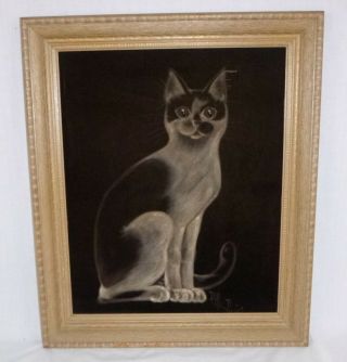 Vtg Mid Century Black Velvet Oil Painting Siamese Cat Signed Framed