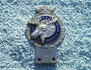 Vintage 1960s Loyal Order Of Moose Car Bumper Bar Badge - Auto Emblem Jr Gaunt