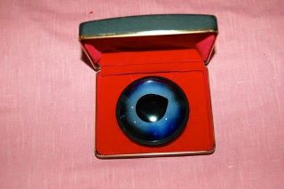 Vtg Taxidermy Glass Marlin Eye Vintage Art Wi Case & Box Paperweight Old Stock