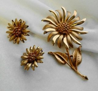 Vintage Signed Hedy Matte & Glossy Gold - Tone Sun Flower Pin & Clip Earrings Set