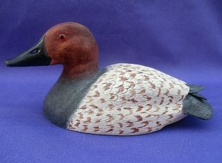 Vintage Drake Canvasback Hand Carved Small Wood Duck Decoy Glass Eyes Signed
