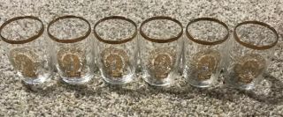 Vintage Set Of 6 Coors Beer 3 - 1/4 " Glasses—gold Rim Tasting Chaser