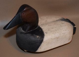 Vtg.  Canvasback Wooden Duck Decoy W Weighted Keel/leather Tie/michigan
