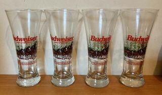 Vintage 1996 Budweiser Beer Clydesdale Holiday Pilsner 7 " Glass Set Of 4