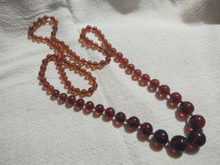 Vtg Honey Amber Knotted Graduated Beaded Necklace 40 " Art Deco Flapper Length