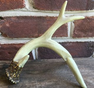 Resin Deer Antler Horn Knife Display Stand Details Rustic Man Cave Mantle