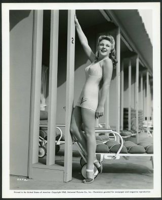Evelyn Ankers In Leggy Cheesecake Pin - Up Vtg 1943 Photo By Ray Jones