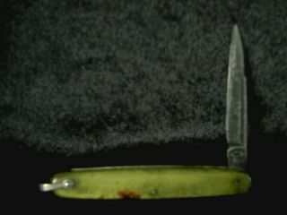 Pal Cutlery Co.  Single Blade Pocket Knife Celluloid Handles
