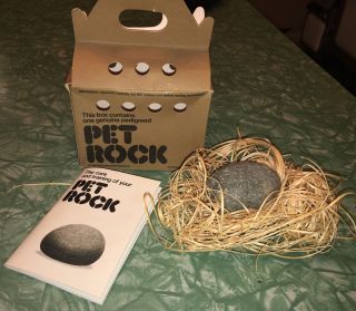 Vintage 1975 Pet Rock With Carton Bedding And Instruction Booklet