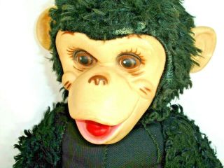 Vintage Rushton Rubber Faced Monkey,  Zip,  No Clothing,  15 Inches 2