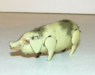 Vintage German Tin Lithograph Pig W Flap Ears Wind Up,  No Key Made Japan