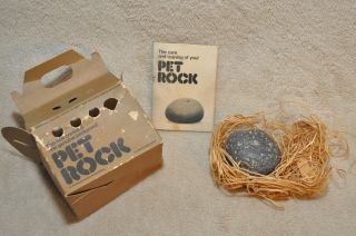 Vintage 1975 Pet Rock With Carton Bedding And Care Booklet