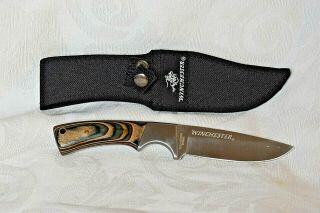 Winchester Fixed Blade Hunting Knife 8 " With 4 " Blade,  Full Tang,  Surgical Steel