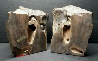 Vintage Souvenir of Phoenix Arizona ☆ Petrified Wood Bookends Natural Unpolished 3